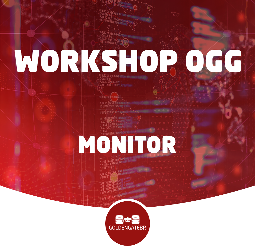 WORKSHOP TROUBLESHOOTING MONITOR